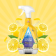 Mətbəx Üçün Təmizləyici Universal Vasitə Astonish Lemon 750 ml