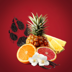 Stik Dezodorant Old Spice Wolfthorn 50 ml