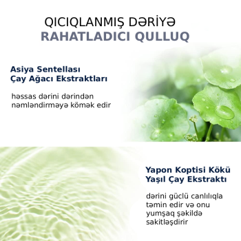 Hidrofil Yağ Pyunkang Yul Basic Basic 290 ml