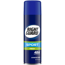 Спрей-дезодорант для мужчин Right Guard Fresh 170 г